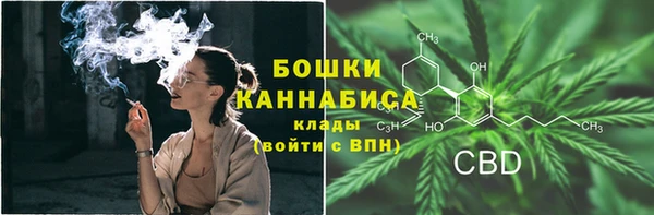Альфа ПВП Богородск