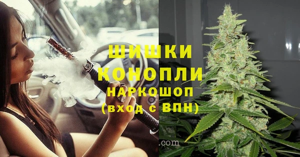 трава Богданович