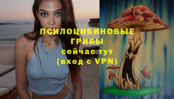Альфа ПВП Богородск