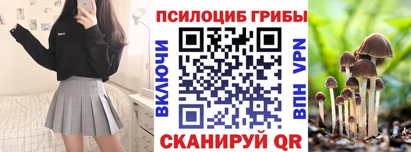 Галлюциногенные грибы MAGIC MUSHROOMS  kraken вход  Краснознаменск 